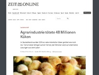 Bild zum Artikel: Tierschutz: Agrarindustrie tötete 48 Millionen Küken