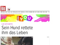 Bild zum Artikel: Ein wahrer Held - Hund rettet krankem Kind das Leben