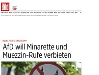 Bild zum Artikel: Neues Partei-Programm - AfD will Minarette und Muezzin-Rufe verbieten