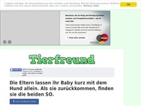 Bild zum Artikel: Die Eltern lassen ihr Baby kurz mit dem Hund allein. Als sie zurückkommen, finden sie die beiden SO.