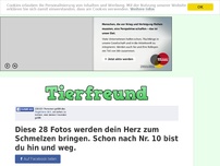 Bild zum Artikel: Diese 28 Fotos werden dein Herz zum Schmelzen bringen. Schon nach Nr. 10 bist du hin und weg.