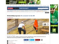 Bild zum Artikel: Wirtschaftsprogramm: So unsozial ist die AfD