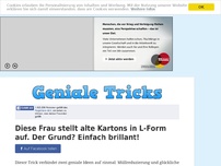 Bild zum Artikel: Diese Frau stellt alte Kartons in L-Form auf. Der Grund? Einfach brillant!