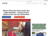 Bild zum Artikel: Dieser Mann hat einem Fuchs das Leben gerettet... und der Fuchs dankt es ihm mit viel Zärtlichkeit