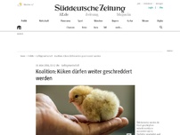 Bild zum Artikel: Koalition: Küken dürfen weiter geschreddert werden