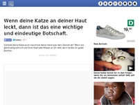 Bild zum Artikel: Wenn deine Katze an deiner Haut leckt, dann ist das eine wichtige und eindeutige Botschaft.