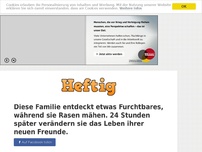 Bild zum Artikel: Diese Familie entdeckt etwas Furchtbares, während sie Rasen mähen. 24 Stunden später verändern...