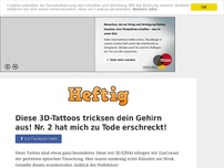 Bild zum Artikel: Diese 3D-Tattoos tricksen dein Gehirn aus! Nr. 2 hat mich zu Tode erschreckt!