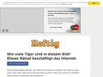 Bild zum Artikel: Wie viele Tiger sind in diesem Bild? Dieses Rätsel beschäftigt das Internet.