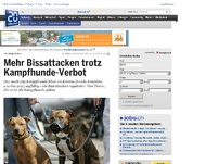 Bild zum Artikel: «Es bringt nichts»: Mehr Bissattacken trotz Kampfhunde-Verbot