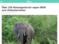 Bild zum Artikel: Über 100 Reiseagenturen sagen NEIN zum Elefantenreiten
