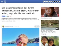 Bild zum Artikel: Sie lässt ihren Hund bei ihrem Verlobten. Als sie sieht, was er ihm antut, sagt sie die Hochzeit ab