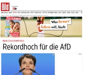 Bild zum Artikel: Neue Schockumfrage - Rekordhoch für die AfD