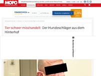 Bild zum Artikel: Tier schwer misshandelt: Der Hundeschläger aus dem Hinterhof