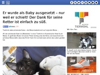 Bild zum Artikel: Er wurde als Baby ausgesetzt – nur weil er schielt! Der Dank für seine Retter ist einfach zu süß.