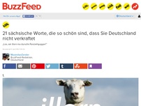 Bild zum Artikel: 21 wundervolle sächsische Worte, die den Rest Deutschlands sehr verwirren