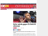 Bild zum Artikel: Hofer würde gegen EU-Beitritt stimmen