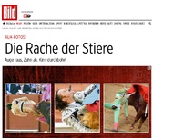 Bild zum Artikel: Aua-Fotos! - Die Rache der Stiere