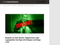 Bild zum Artikel: Respekt vor dem Gesetz: Tagespresse zeigt zugespieltes Sex-Tape mit Erdogan und Ziege nicht