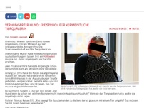 Bild zum Artikel: Verhungerter Hund: Freispruch für vermeintliche Tierquälerin