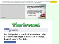 Bild zum Artikel: Der Welpe ist schon im Endstadium, aber das Mädchen lässt ihn einfach nicht los. Das ist wahre...