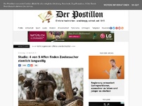 Bild zum Artikel: Studie: 4 von 5 Affen finden Zoobesucher ziemlich langweilig