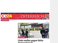 Bild zum Artikel: Linke wollen gegen Hofer demonstrieren