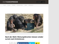 Bild zum Artikel: Nach der Wahl: Meinungsforscher müssen wieder zurück nach Schönbrunn