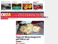 Bild zum Artikel: Ziege mit Menschengesicht gibt Rätsel auf