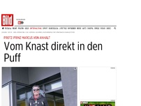 Bild zum Artikel: Marcus von Anhalt - Vom Knast direkt in den Puff