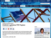 Bild zum Artikel: Einblick in geheime TTIP-Papiere: Europäische Standards bedroht