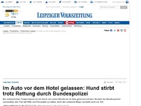 Bild zum Artikel: Im Auto vor dem Hotel gelassen: Hund stirbt trotz Rettung durch Bundespolizei