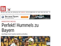 Bild zum Artikel: Perfekt! - Hummels wechselt zu Bayern