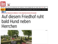 Bild zum Artikel: Katholische Premiere - Auf diesem Friedhof ruht bald Hund neben Herrchen