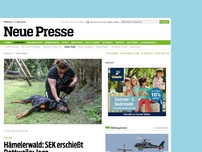 Bild zum Artikel: Hämelerwald: SEK erschießt Rottweiler Jago