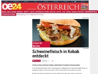 Bild zum Artikel: Schweinefleisch in Kebab entdeckt