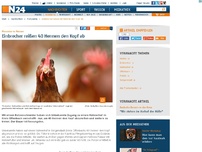 Bild zum Artikel: Massaker in Hessen - 
Einbrecher reißen 40 Hennen den Kopf ab