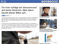 Bild zum Artikel: Ein Irrer schlägt am Strassenrand auf einen Hund ein. Aber dann taucht dieser Biker auf...