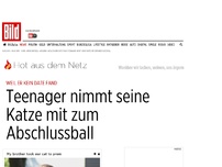 Bild zum Artikel: Weil er kein Date fand - Teenager nimmt seine  ​Katze mit zum Abschlussball