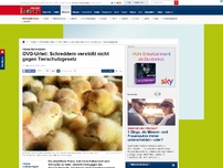 Bild zum Artikel: Gericht urteilt - Küken-Schreddern mit Tierschutzgesetz vereinbar