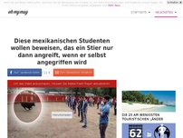 Bild zum Artikel: Diese mexikanischen Studenten wollen beweisen, das ein Stier nur dann angreift, wenn er selbst angegriffen wird