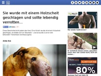 Bild zum Artikel: Sie wurde mit einem Holzscheit geschlagen und sollte lebendig verrotten...