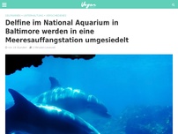 Bild zum Artikel: Delfine im National Aquarium in Baltimore werden in eine Meeresauffangstation umgesiedelt