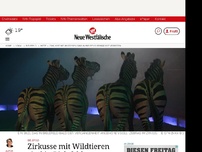 Bild zum Artikel: Bielefeld: Zirkusse mit Wildtieren sind in Bielefeld ab sofort verboten