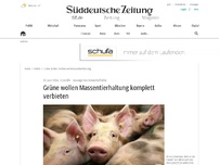 Bild zum Artikel: Grüne wollen Massentierhaltung komplett verbieten