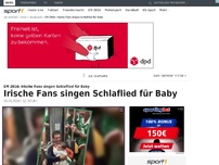 Bild zum Artikel: Irische Fans singen Schlaflied für Baby