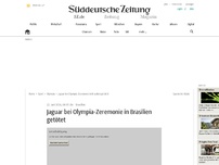 Bild zum Artikel: Jaguar bei Olympia-Zeremonie in Brasilien getötet