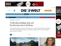 Bild zum Artikel: Paderborn: Trabi überschlägt sich auf Nacktschnecken-Schleim