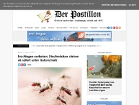 Bild zum Artikel: Erschlagen verboten: Stechmücken stehen ab sofort unter Naturschutz