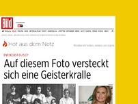 Bild zum Artikel: Entdeckst du sie? - Auf diesem Foto versteckt sich eine Geisterkralle